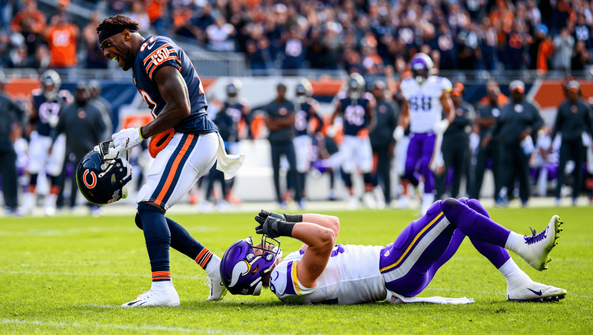 NFC North standings: How wins by Bears, Packers affect divisional race in Week 11 image