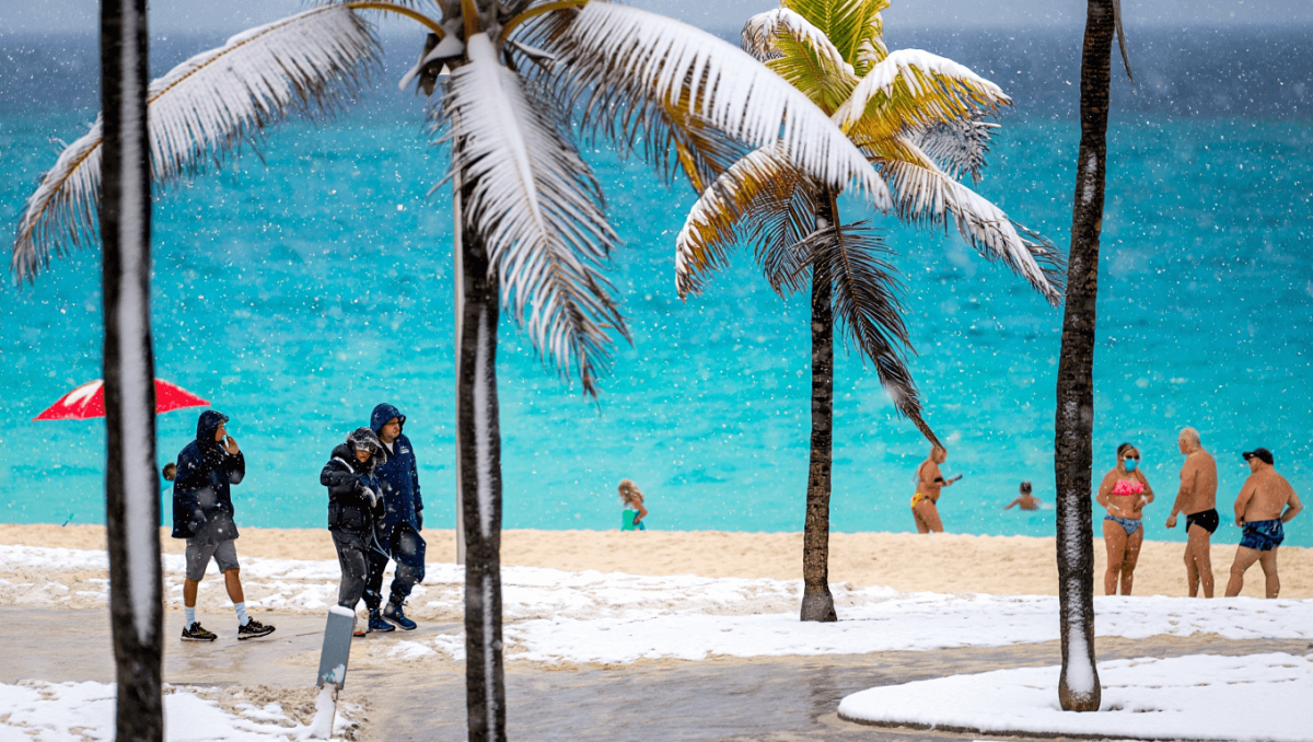 Travelers Report Being Held Up At Cancun Airport Over Confusing Tourist Tax. Here