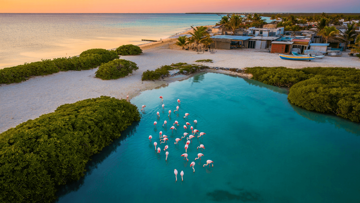 Panoramic view of Celestun, Mexico shoreline