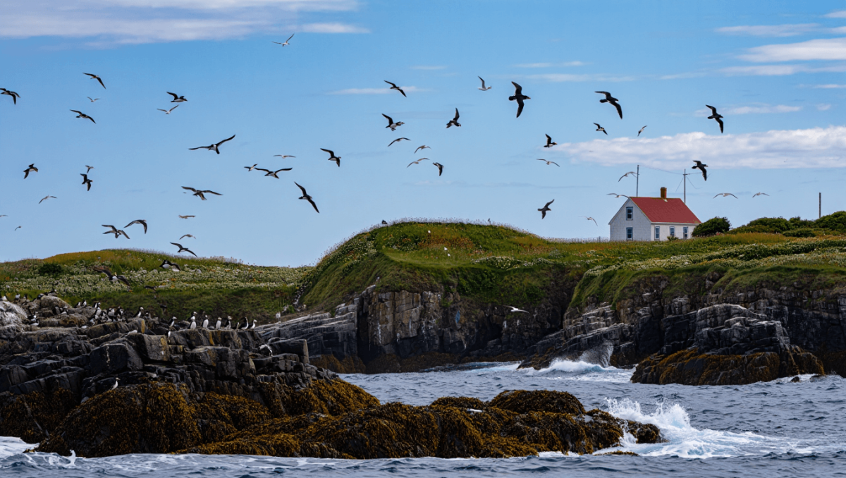 Aerial view of Monhegan Island, Maine