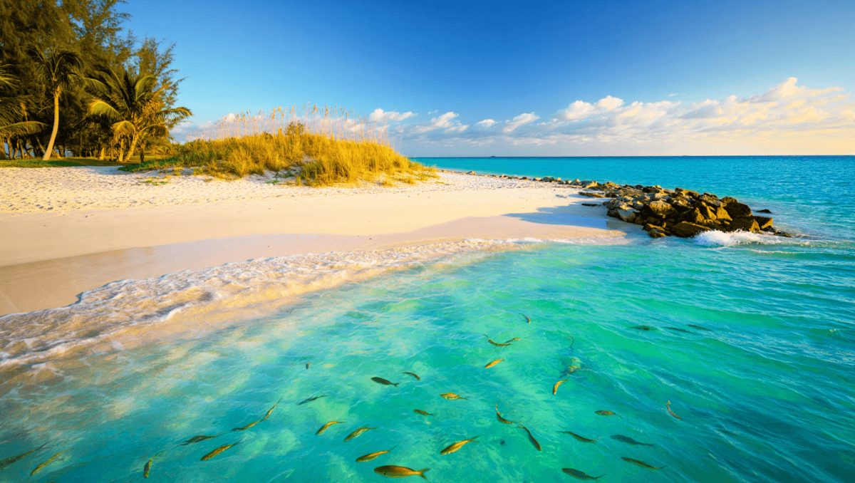 Paved pathway to Louisiana beach