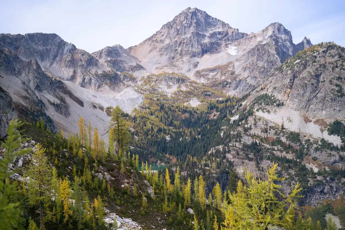 Emerald alpine lake reflecting jagged peaks with honey-gold larch forest slopes in fall
