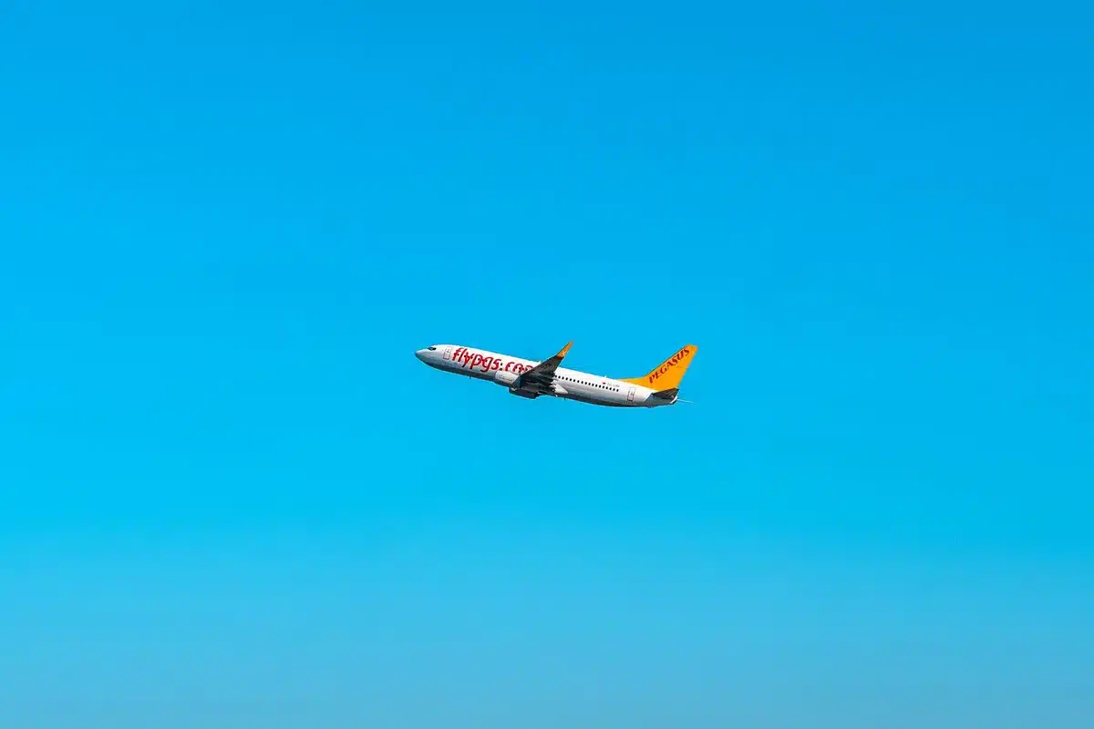 Traveler comparing flight award options on smartphone with multiple pricing tiers displayed
