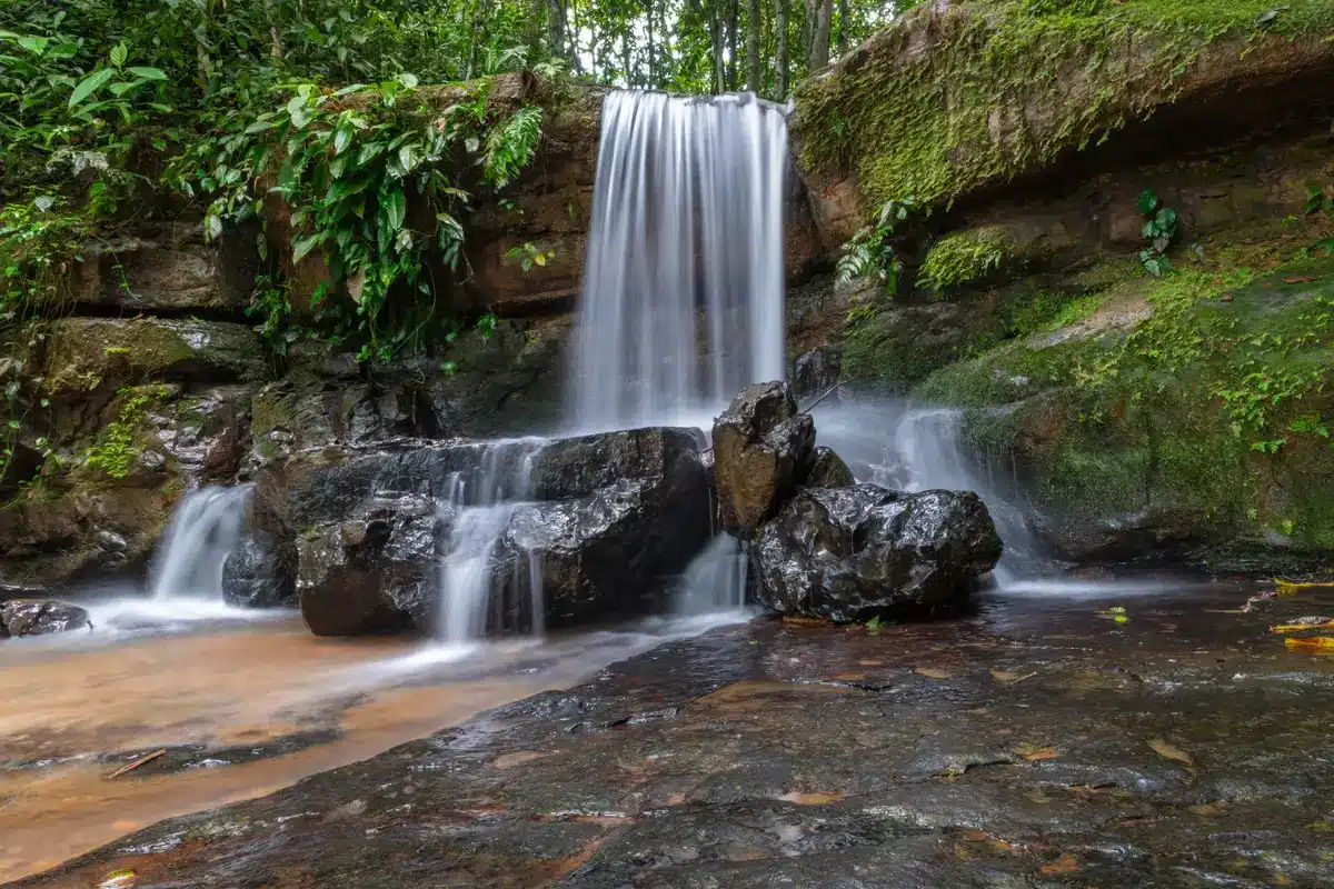 Wanderer on a mossy rainforest trail with a waterfall cascading in the background