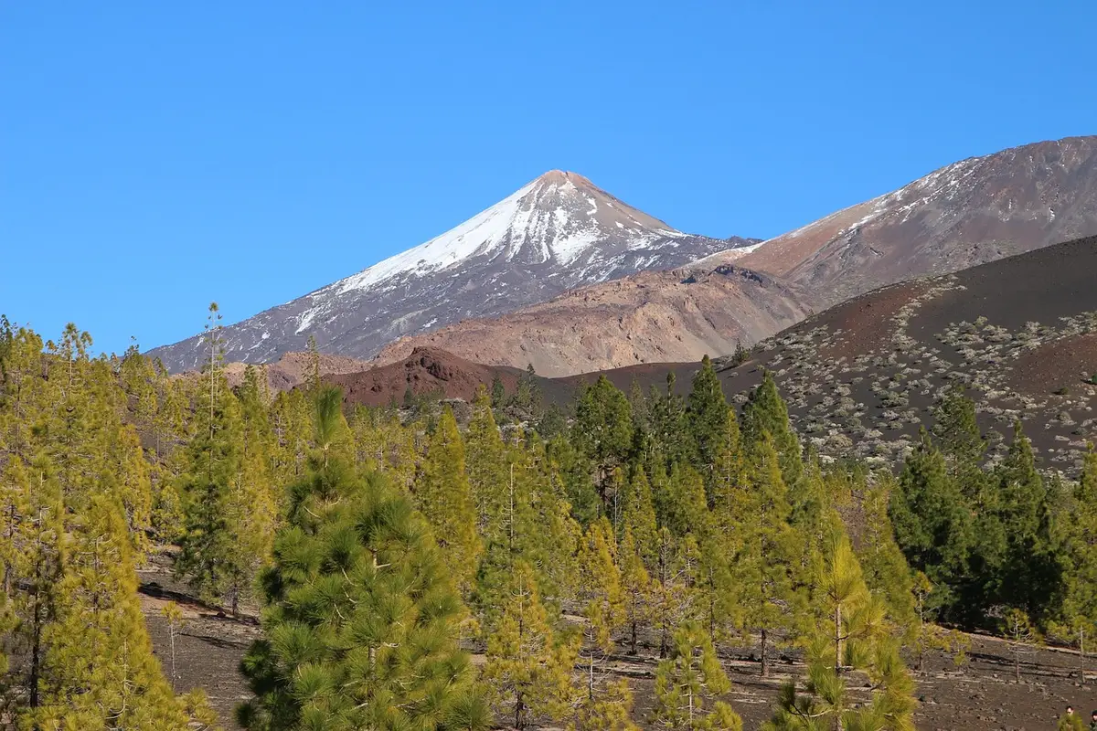 Volcanic trail on Tenerife with distant peak and rugged terrain