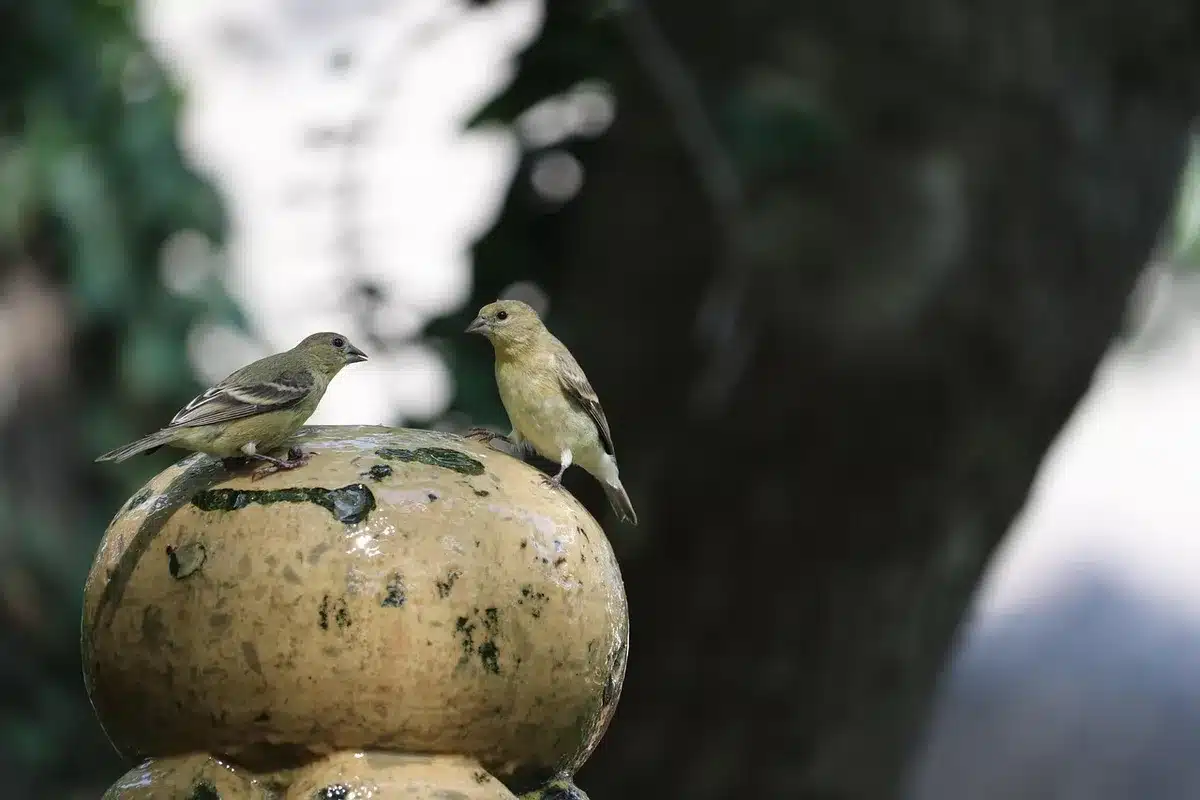 Two people in tense conversation during a confrontation