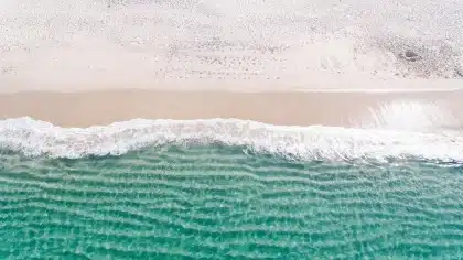 Pristine Caribbean beach with turquoise water, white sand and palm trees at golden hour
