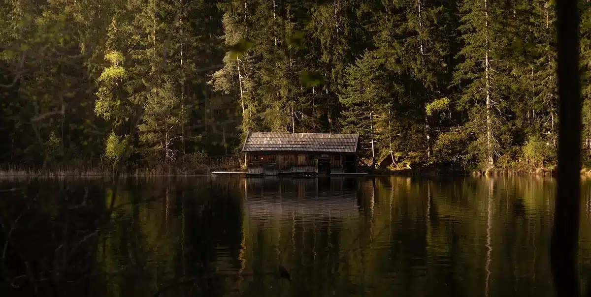 Rustic wooden cabin nestled among trees near a forest lake