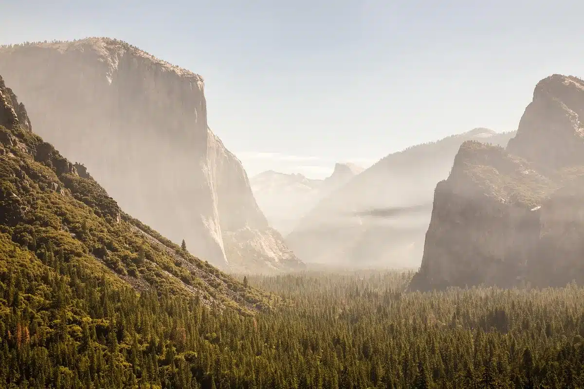 Hiker standing on a rocky overlook with forested hills and valley in the distance