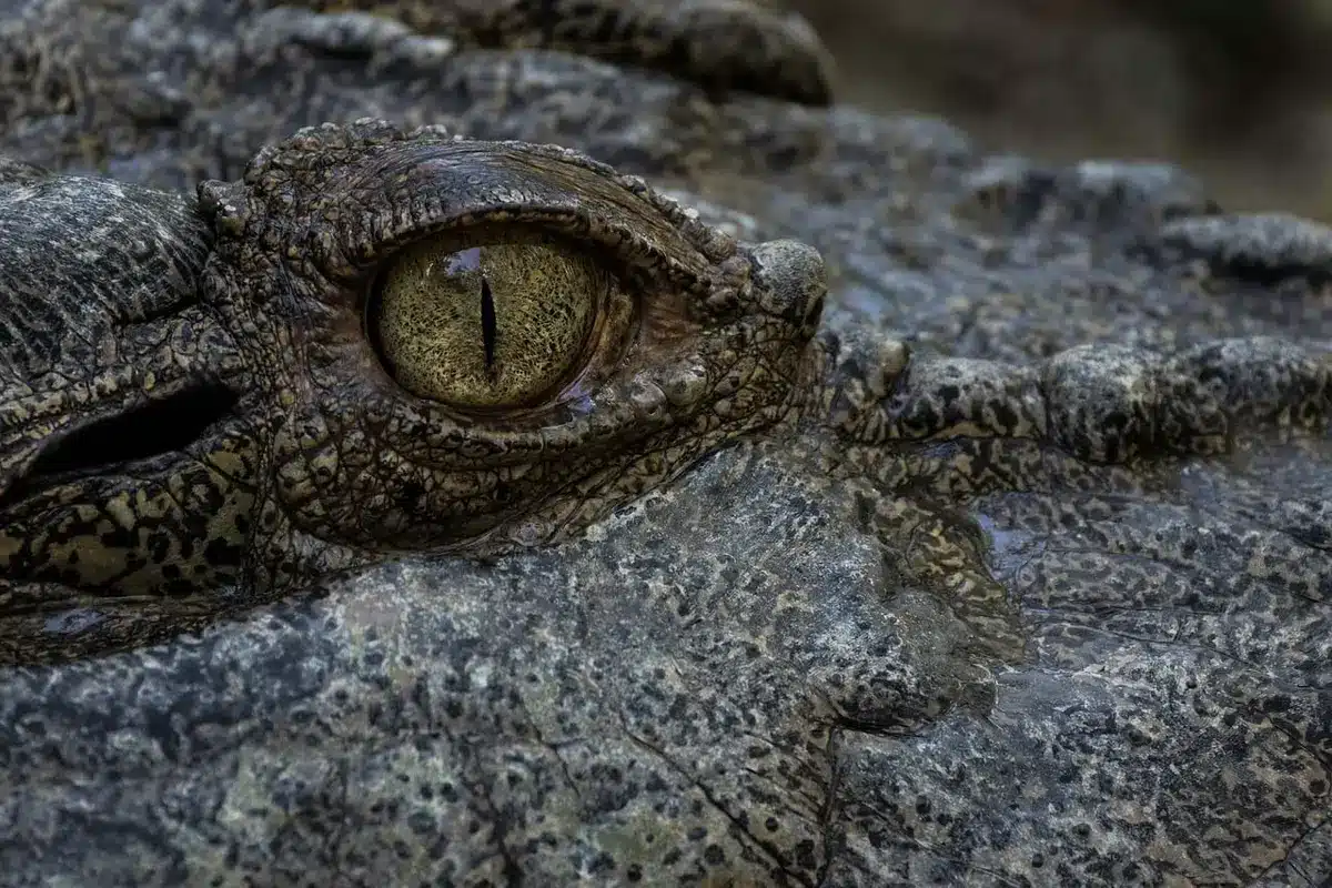 Audience watching a tense film trailer on a screen, close-up reactions
