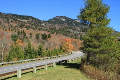 Winding mountain road with golden aspens and a wooden guardrail at an overlook