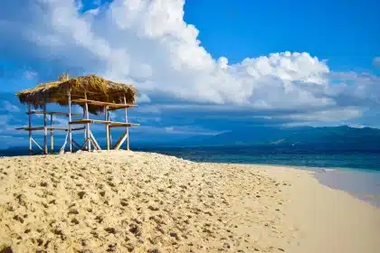 Pristine Caribbean beach with turquoise water, white sand, and palm trees under clear skies
