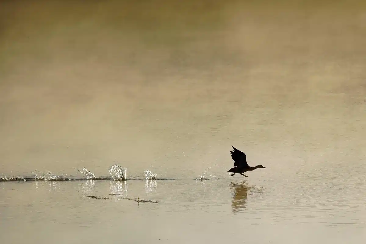 Misty rural riverbank at dusk with an empty rowboat and distant anonymous figures