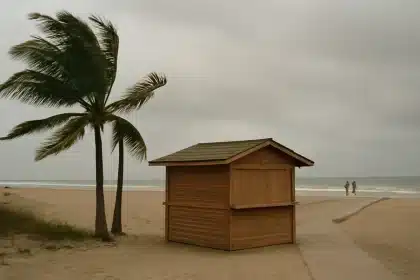 Mexico vacation threatened by Hurricane Polo: should you cancel?
