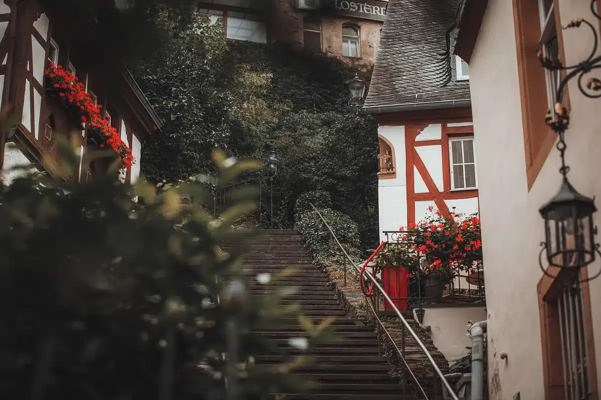 Rows of painted half-timbered houses lining a narrow cobbled lane in a German town
