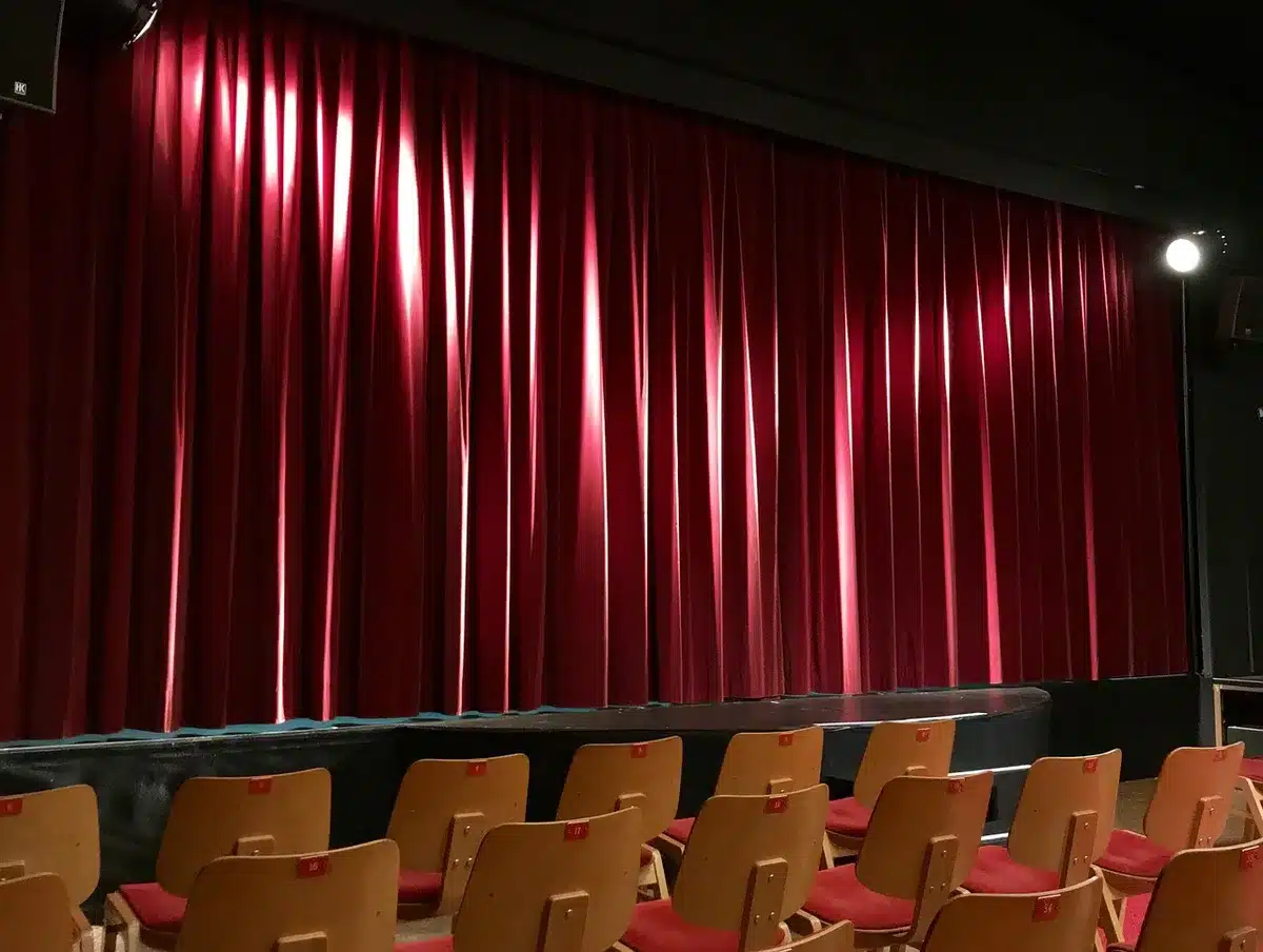Silhouette of a performer under a stage spotlight, suggesting professionalism