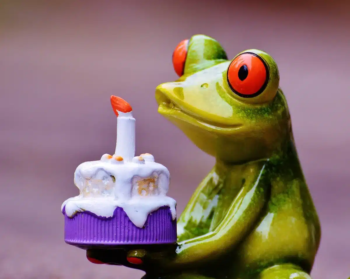 Small birthday cake onstage with dimly lit audience in background