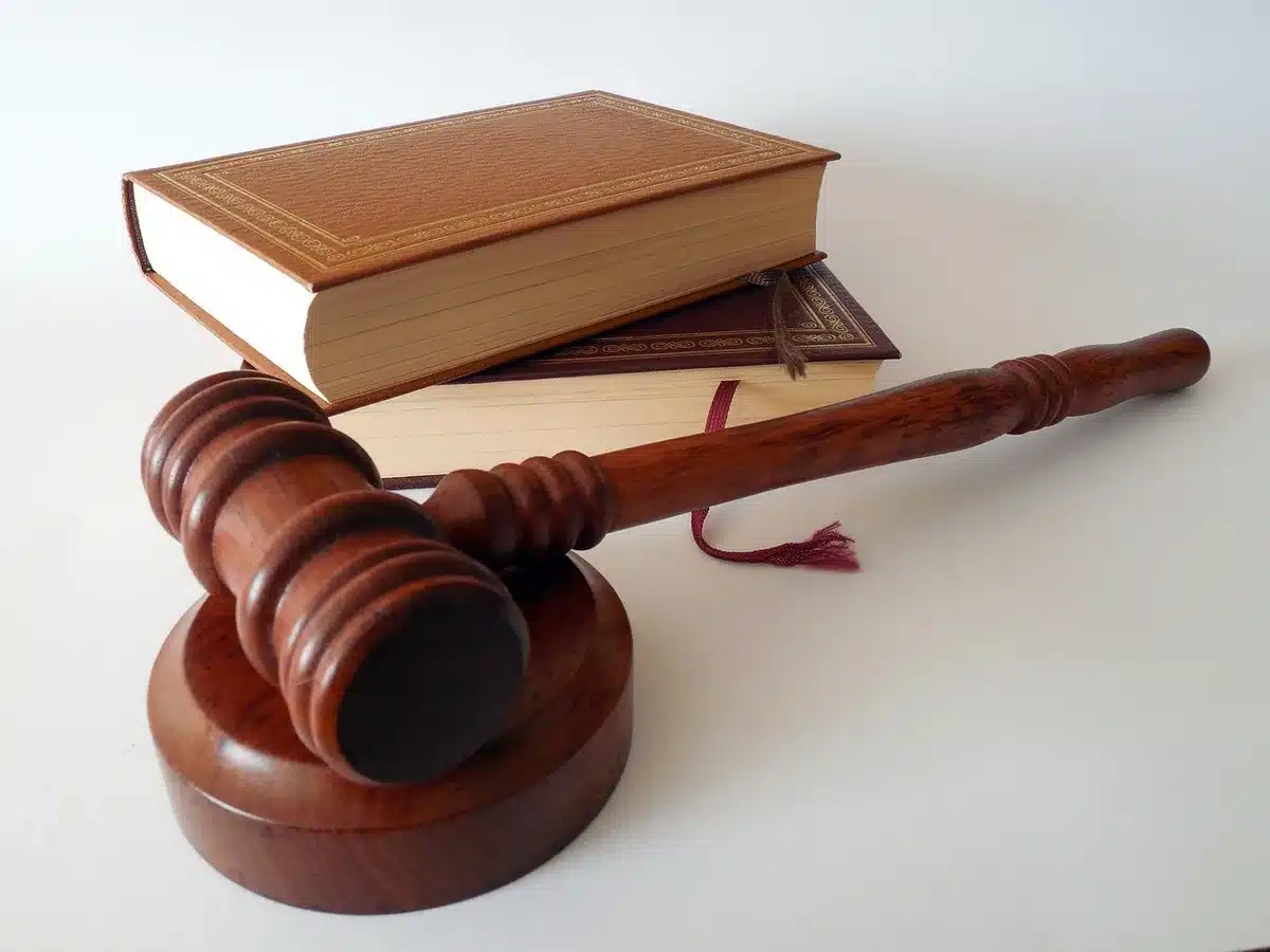 Close-up of hands holding legal guardianship court documents